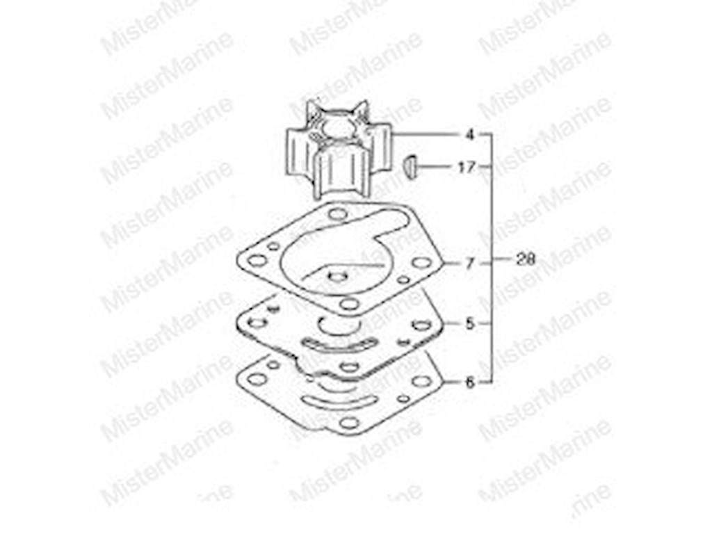 17400-94J00-000 KIT GIRANTE DF9.9/DF15 (2006-2013)