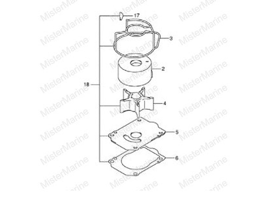 17400-96J04-000 KIT GIRANTE DF150/175 (2006-OGGI)