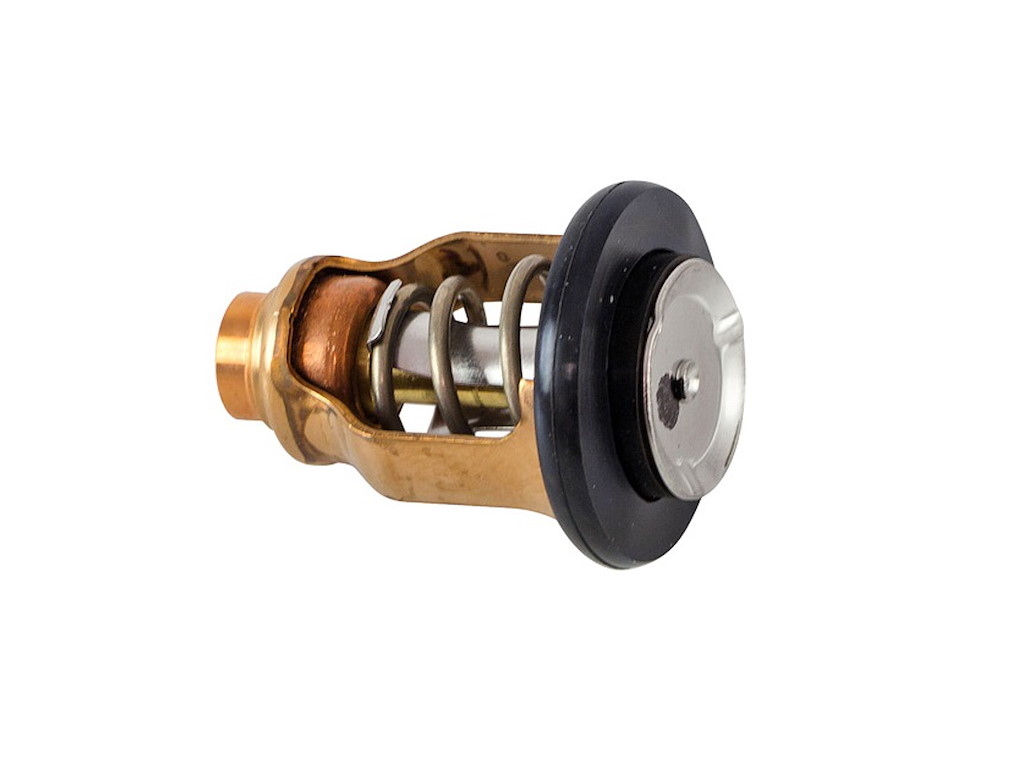17670-90J21-000 TERMOSTATO 50° DF100/DF300 Vedi modelli