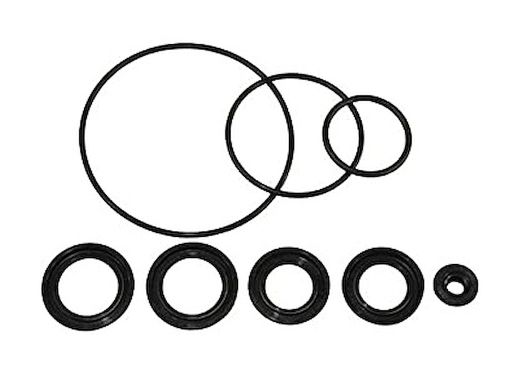 25700-98J01-000 KIT TENUTE PIEDE DF300T (2001-2011)