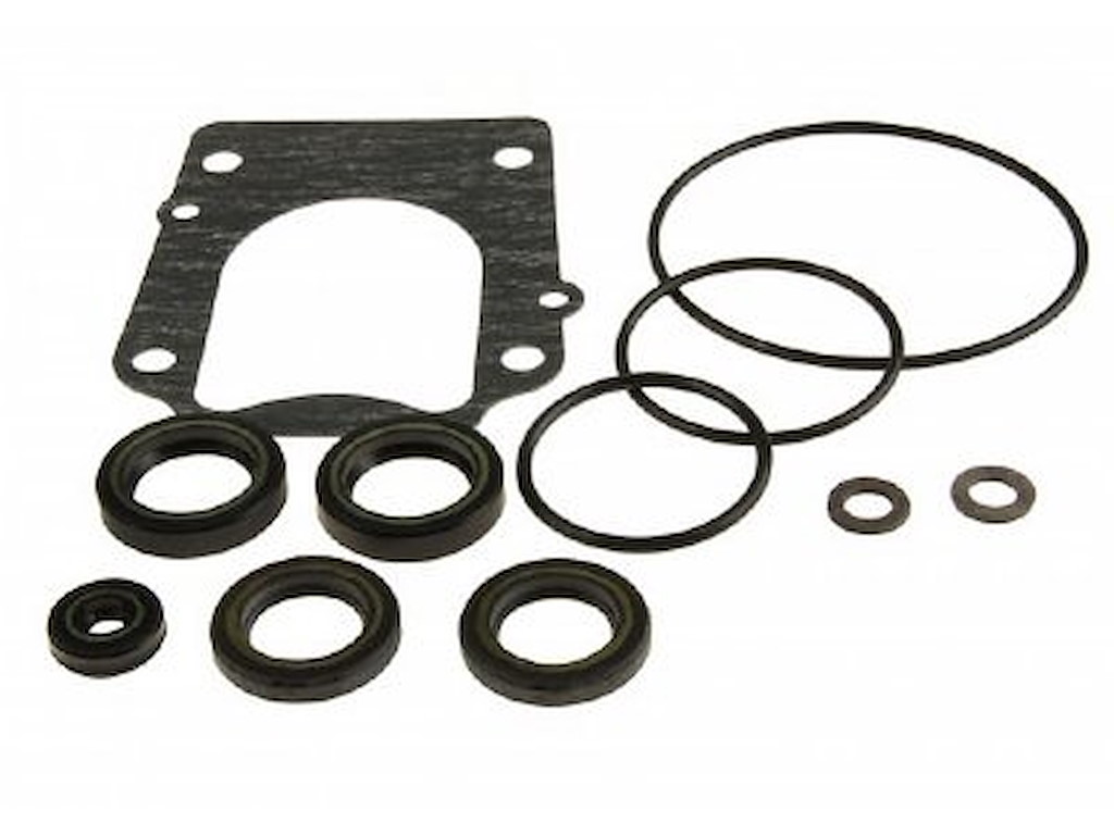 25700-87L01-000 KIT TENUTE PIEDE DF70A/80A/90A (2009-OGGI)