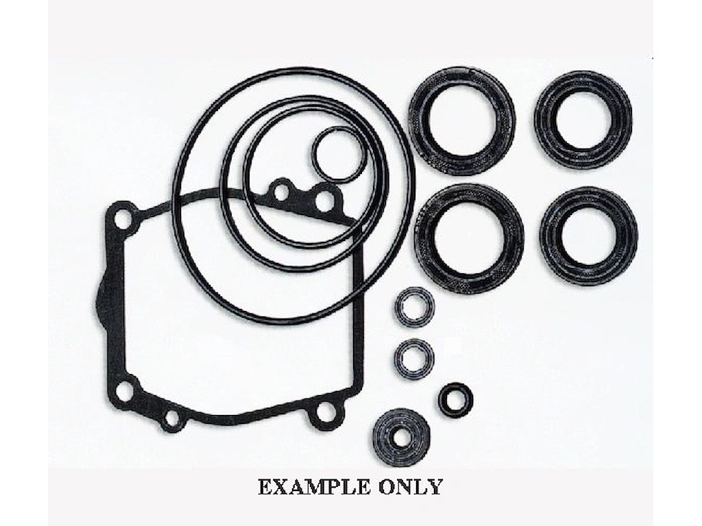 25700-98L05-000 KIT TENUTE DF325A/DF350A
