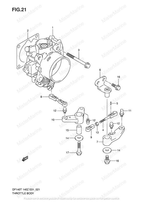 FIG.35 (1-D-12) CORPO FARFALLATO
