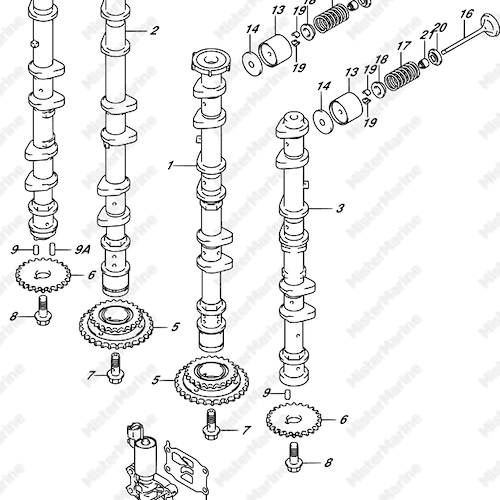 ALBERO A CAMME DF250