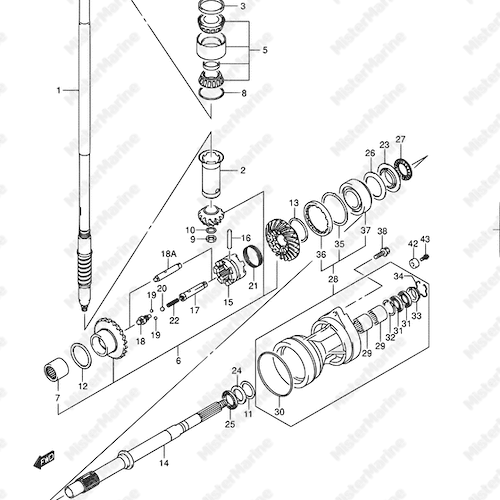 TRASMISSIONE DF300Z