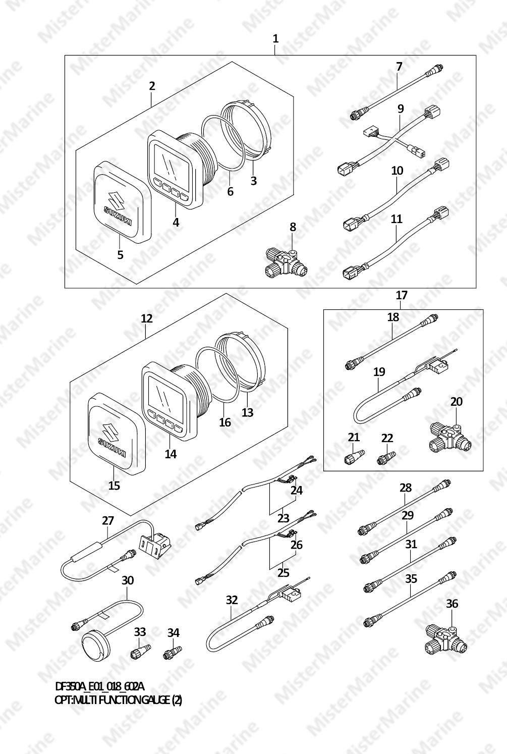 FIG.602A (1-F-11) OPT:MULTI FUNCTION GAUGE (2)