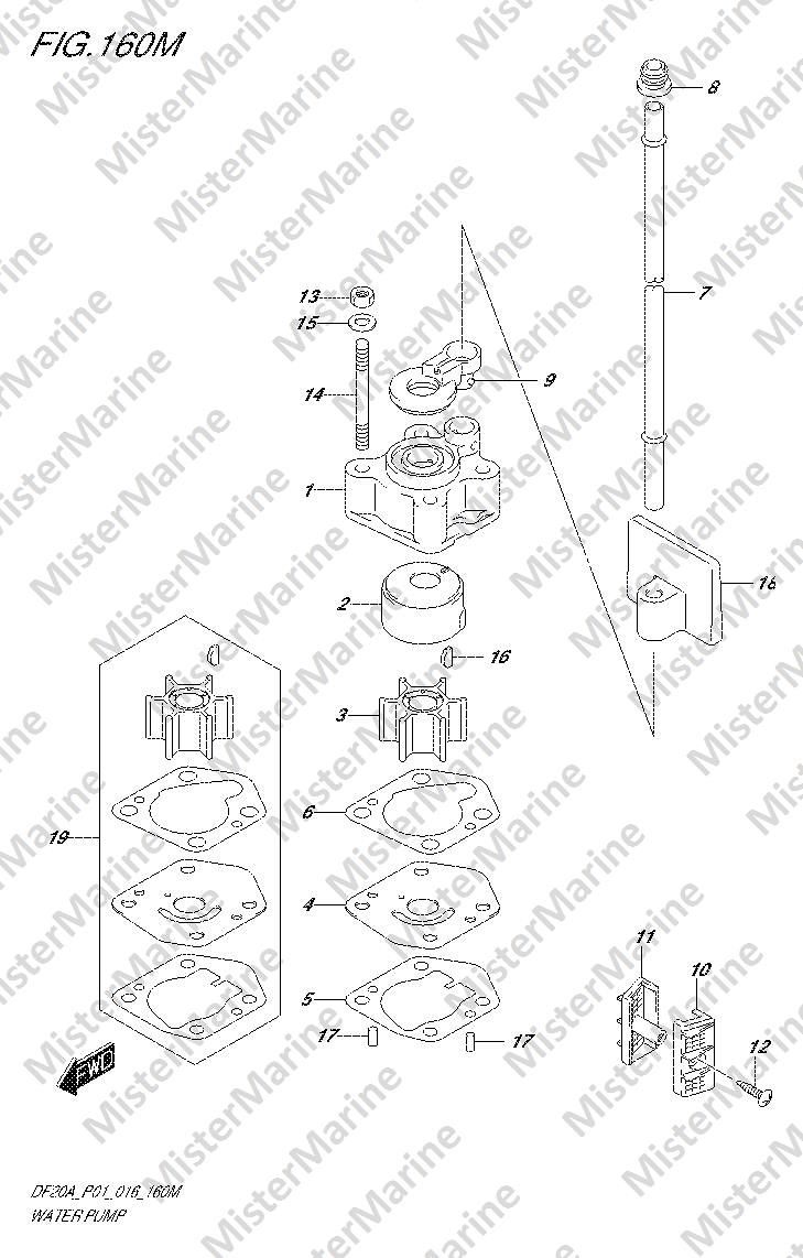 FIG.160M (1-F-10) WATER PUMP (DF20ATH P01)